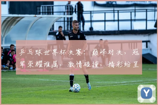 乒乓球世界杯决赛：巅峰对决，冠军荣耀谁属，激情碰撞，精彩纷呈